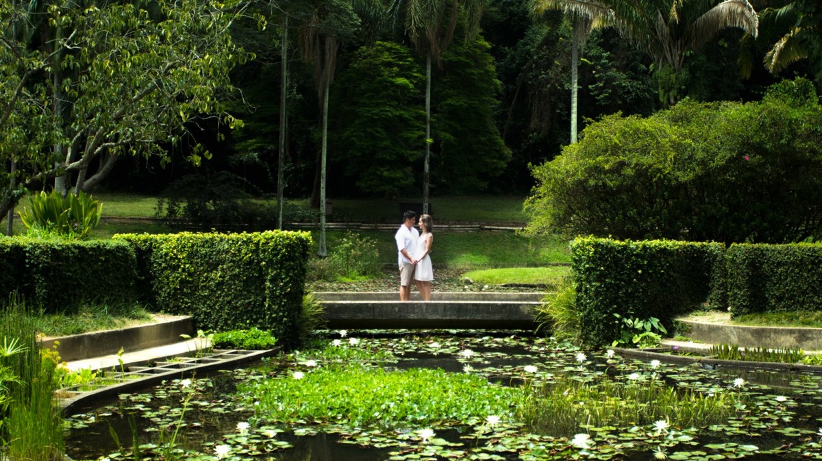 Parque Estadual Alberto Löfgren, conhecido como Horto Florestal,
