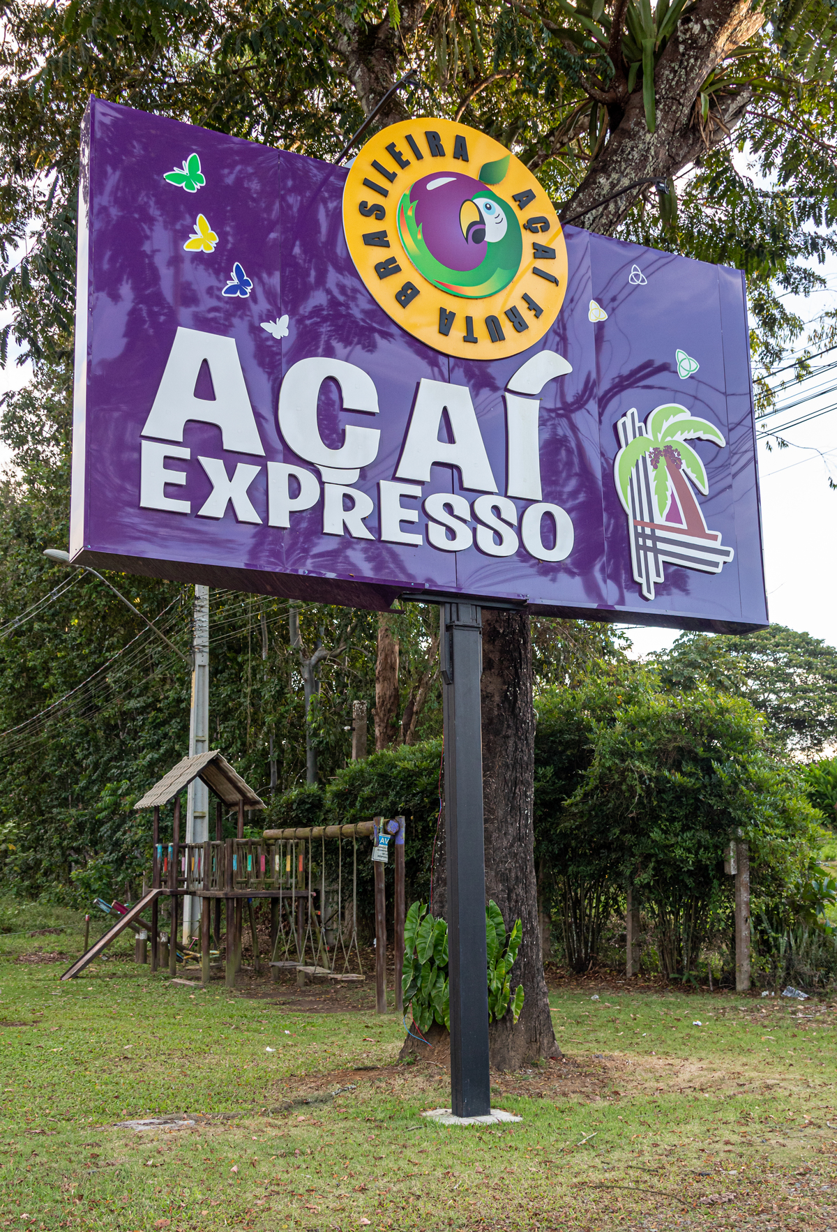 açaí fruta brasileira, açaí expresso, itabuna bahia