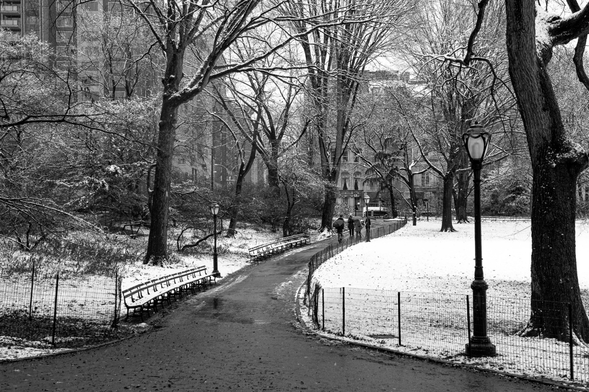 Foto de árvore com neve  no Central Park de New York. Manhattan. nova york. new york. prédios de Manhattan. arranha-céus da Cidade de Nova Iorque. arranha-céu dos Estados Unidos.