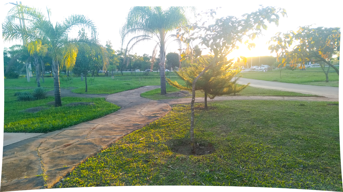Fim de tarde no taguaparque DF - Sem pós processamento - linda assim - natural