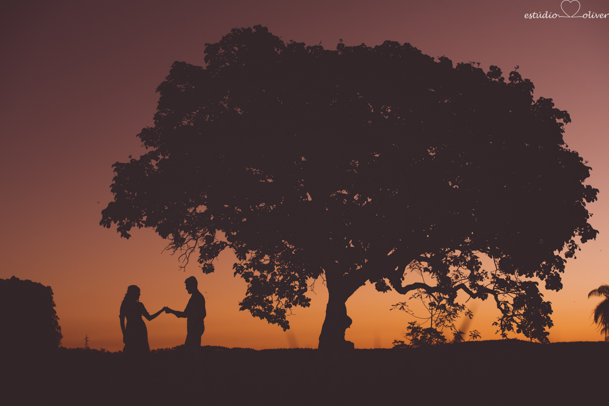 amor,casamento, cerimonia, dia especial, emoção,  Estudio Oliver, externas, festa, filmagem, foto, pre casamento diferente save the date lugar lindo 