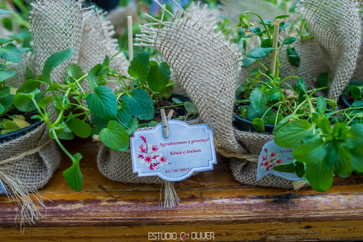 Sitio zezé lilia, fotos Sitio zezé lilia, casamento Sitio zezé lilia, cerimonia Sitio zezé lilia, 