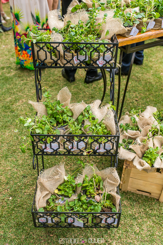 Sitio zezé lilia, fotos Sitio zezé lilia, casamento Sitio zezé lilia, cerimonia Sitio zezé lilia, 