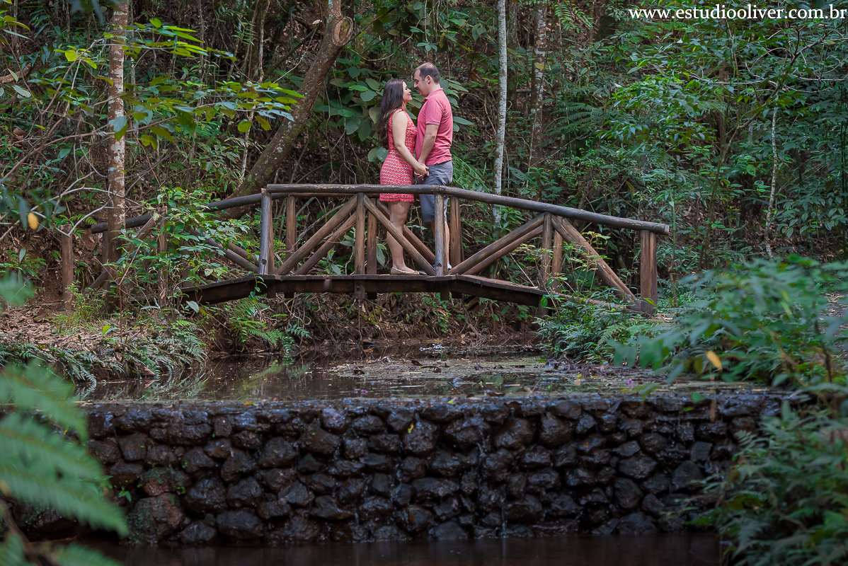 pre casamento no magabeiras noiva pre casamento felicidade fotos para pre wedding parque belo horizonte