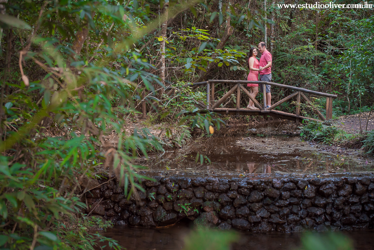 pre casamento no magabeiras noiva pre casamento felicidade fotos para pre wedding parque belo horizonte