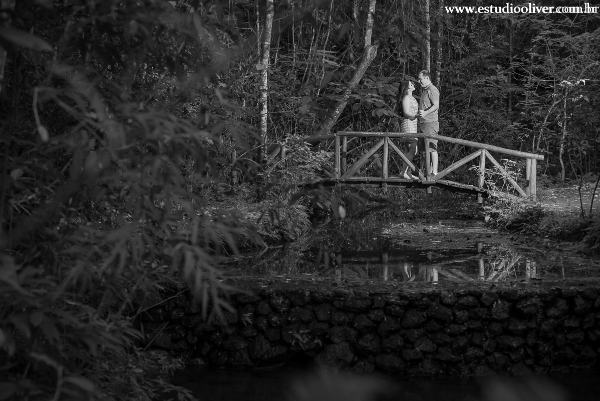 pre casamento no magabeiras noiva pre casamento felicidade fotos para pre wedding parque belo horizonte