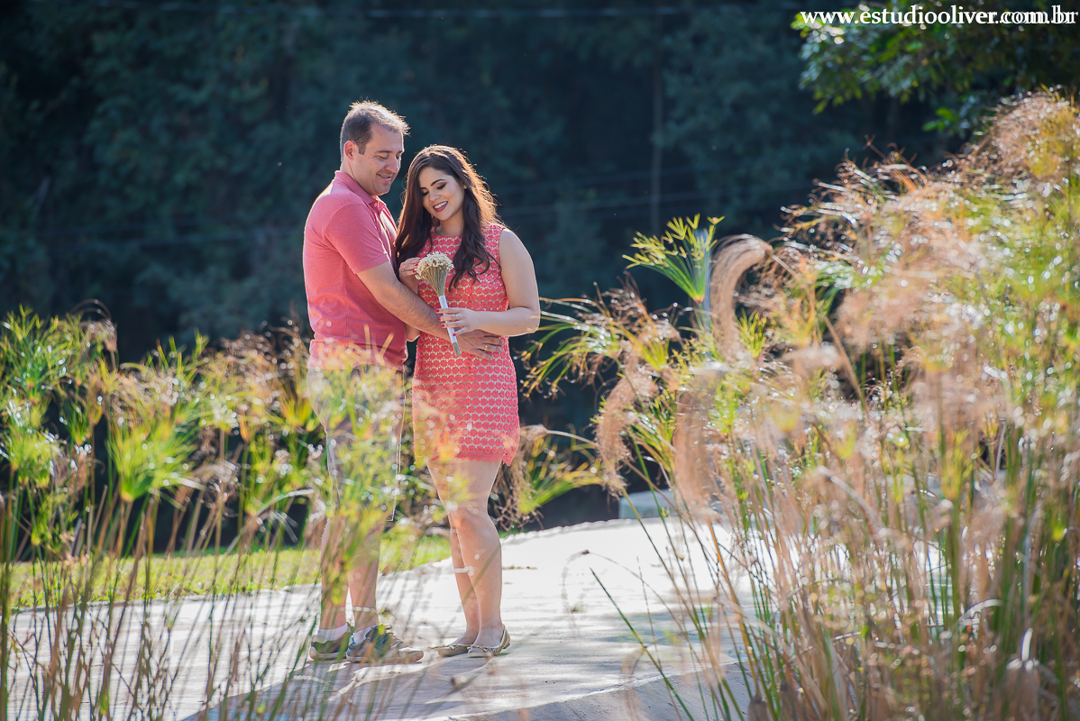 pre casamento no magabeiras noiva pre casamento felicidade fotos para pre wedding parque belo horizonte