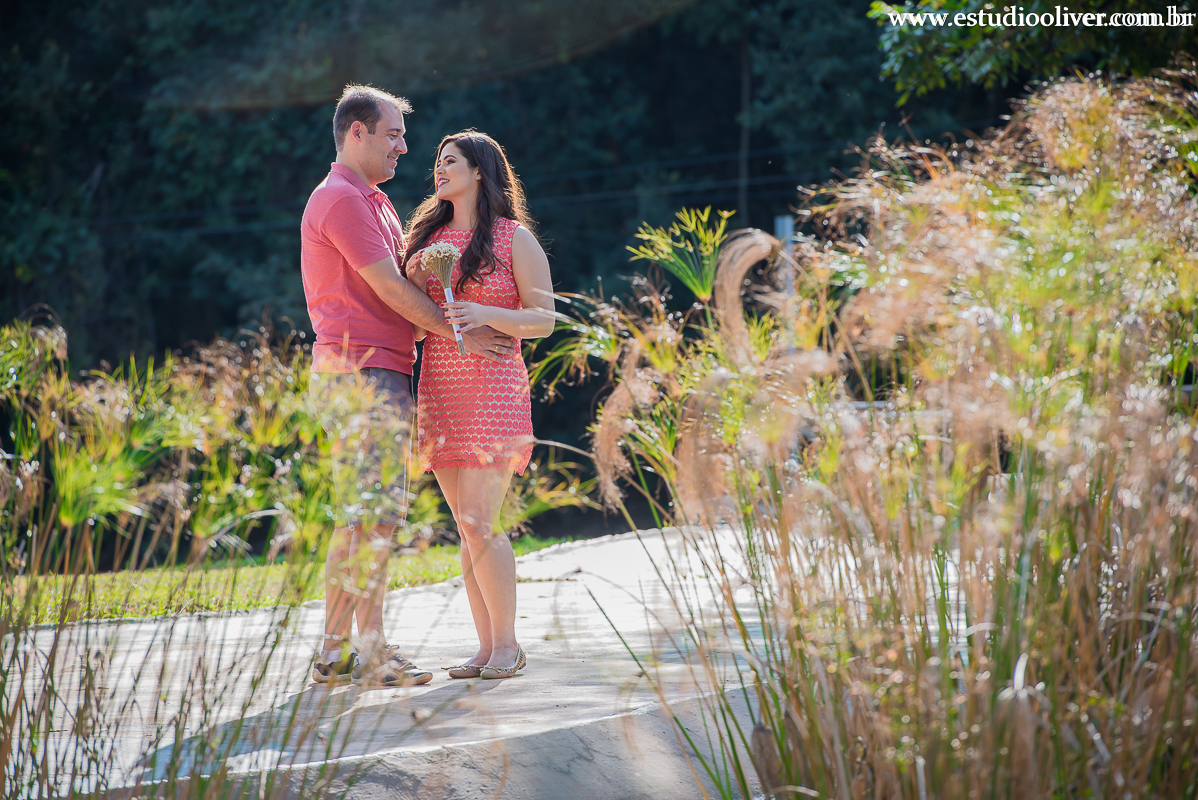 pre casamento no magabeiras noiva pre casamento felicidade fotos para pre wedding parque belo horizonte