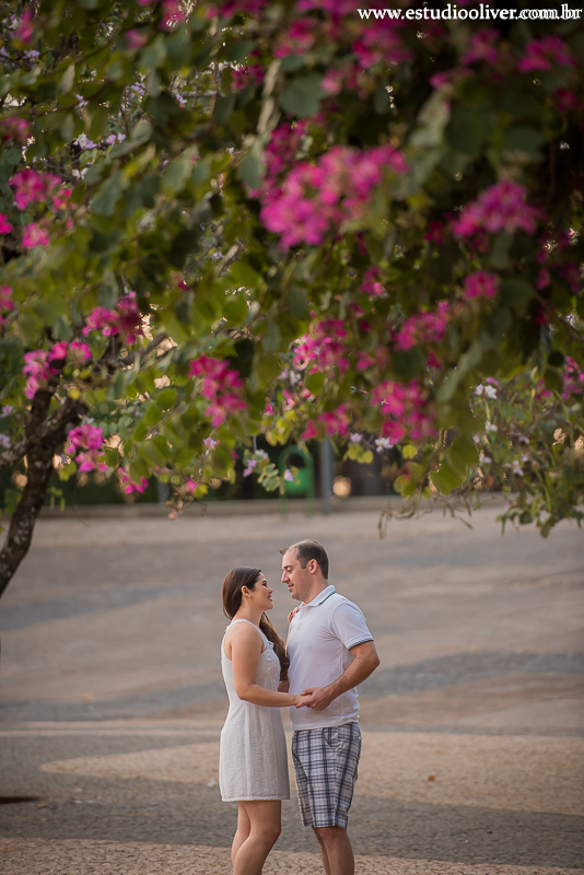 pre casamento no magabeiras noiva pre casamento felicidade fotos para pre wedding parque belo horizonte