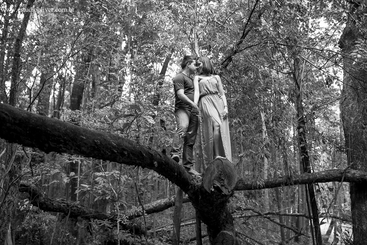 pre wedding, wedding, pre casamento, fotos de pre casamento, fotos de pre wedding, fotos de casamento na cidade Belo horizonte , casamento em  Belo horizonte , fotos românticas,  fotos despojadas, fotos de casal, fotos em Pedro Leopoldo mg, sess&ati