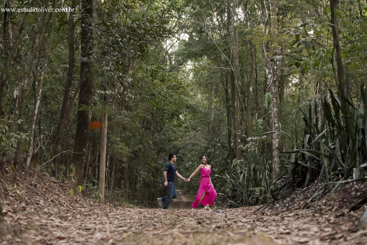 pre wedding, wedding, pre casamento, fotos de pre casamento, fotos de pre wedding, fotos de casamento na cidade Belo horizonte , casamento em  Belo horizonte , fotos românticas,  fotos despojadas, fotos de casal, fotos em Pedro Leopoldo mg, sess&ati