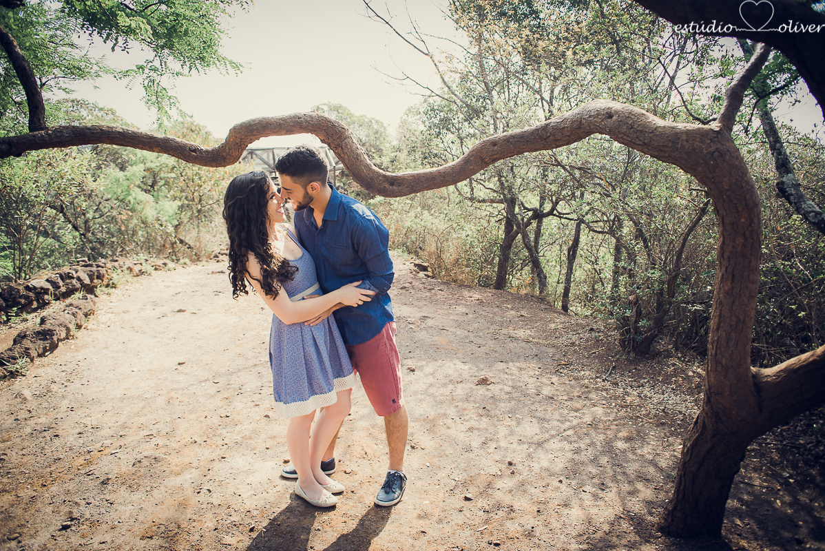 ensaio pre casamento, fotografia de casamento, fotografo de casamento em bh, os melhores fotografo de casamento em bh, ensaio no parque mangabeiras