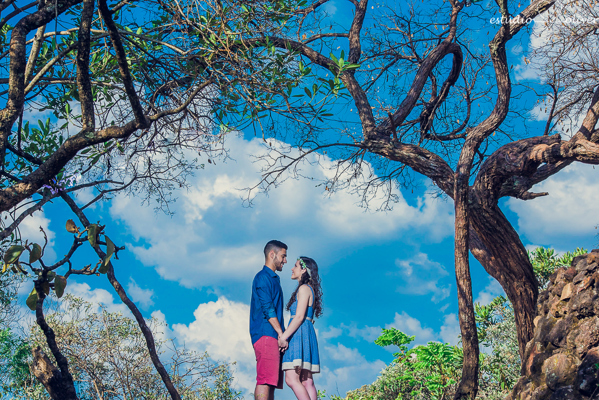 ensaio pre casamento, fotografia de casamento, fotografo de casamento em bh, os melhores fotografo de casamento em bh, ensaio no parque mangabeiras