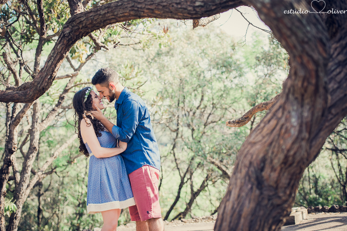 ensaio pre casamento, fotografia de casamento, fotografo de casamento em bh, os melhores fotografo de casamento em bh, ensaio no parque mangabeiras