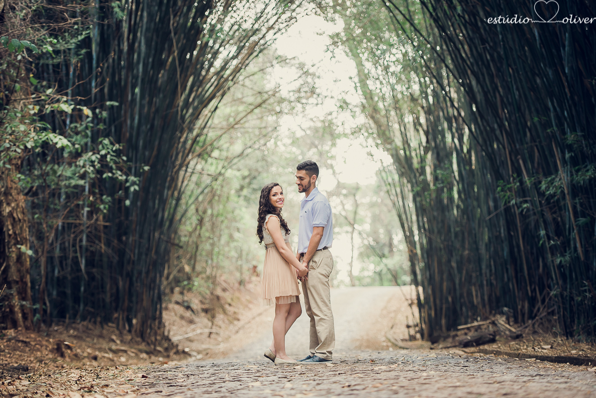 ensaio pre casamento, fotografia de casamento, fotografo de casamento em bh, os melhores fotografo de casamento em bh, ensaio no parque mangabeiras
