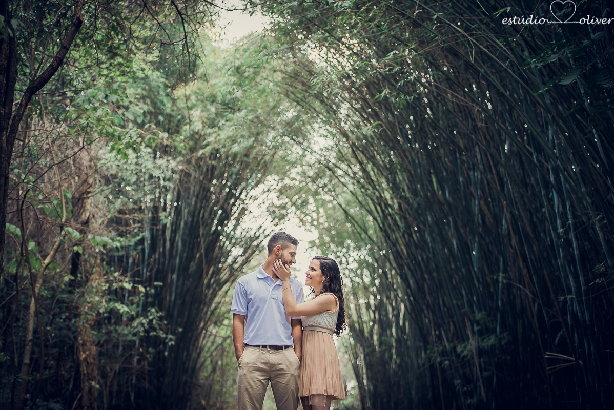 ensaio pre casamento, fotografia de casamento, fotografo de casamento em bh, os melhores fotografo de casamento em bh, ensaio no parque mangabeiras