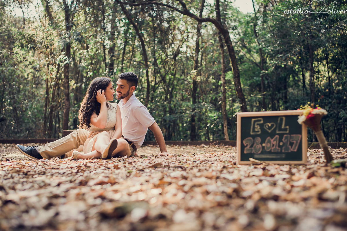 ensaio pre casamento, fotografia de casamento, fotografo de casamento em bh, os melhores fotografo de casamento em bh, ensaio no parque mangabeiras