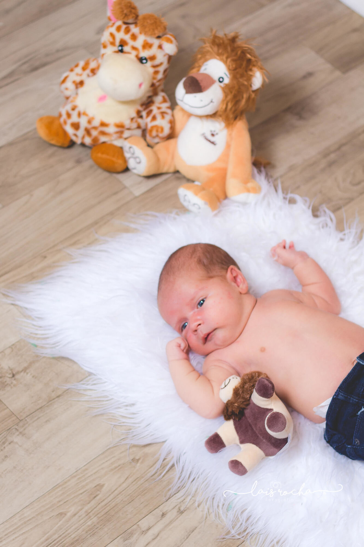 Vinicius Leon - mogi guaçu - bible - lais rocha photo - biblia sagrada - baby - acompanhamento