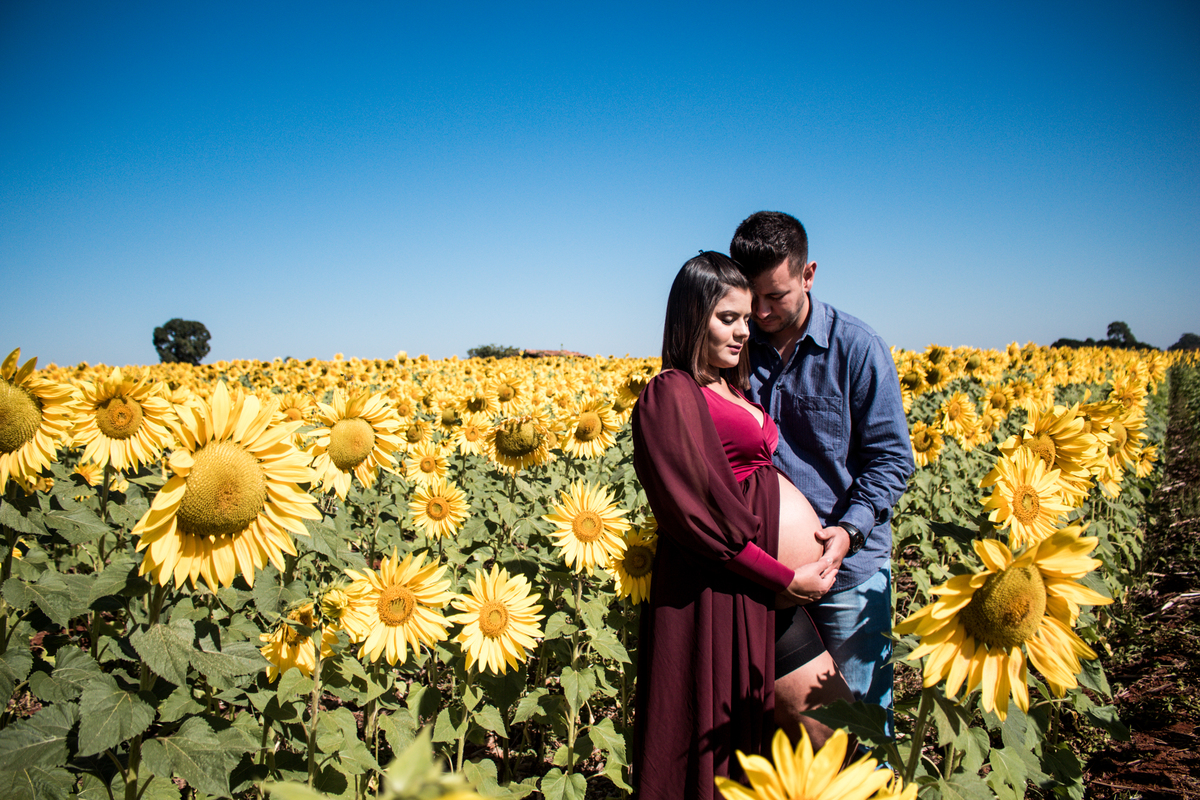 gestante, ensaio gestante, holambra, girassois, lais rocha fotografia, mogi guaçu, conchal, fotografia, fotos, ensaio, sessão 