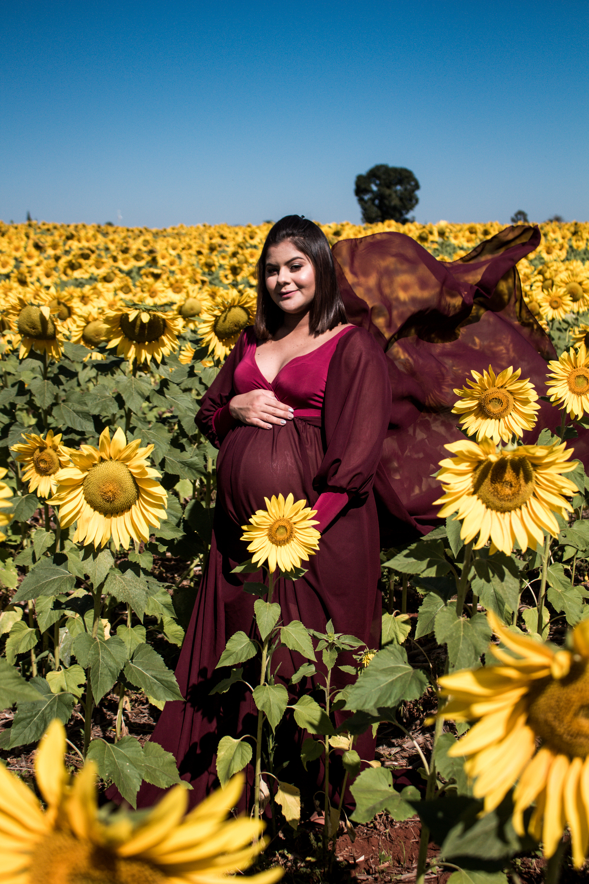 gestante, ensaio gestante, holambra, girassois, lais rocha fotografia, mogi guaçu, conchal, fotografia, fotos, ensaio, sessão 