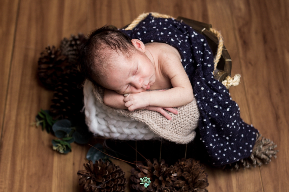 newborn, lais rocha fotografia, estudio fotografico, conchal, sp, fotografia, familia, bebe