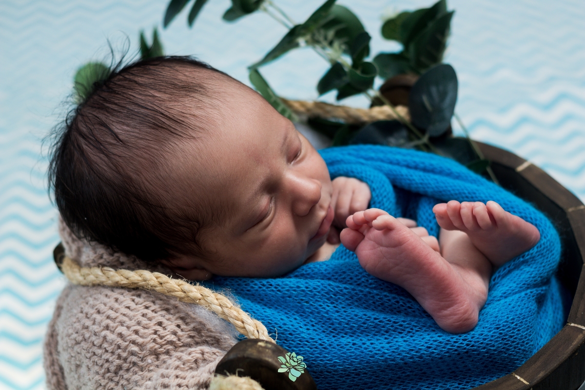 newborn, lais rocha fotografia, estudio fotografico, conchal, sp, fotografia, familia, bebe