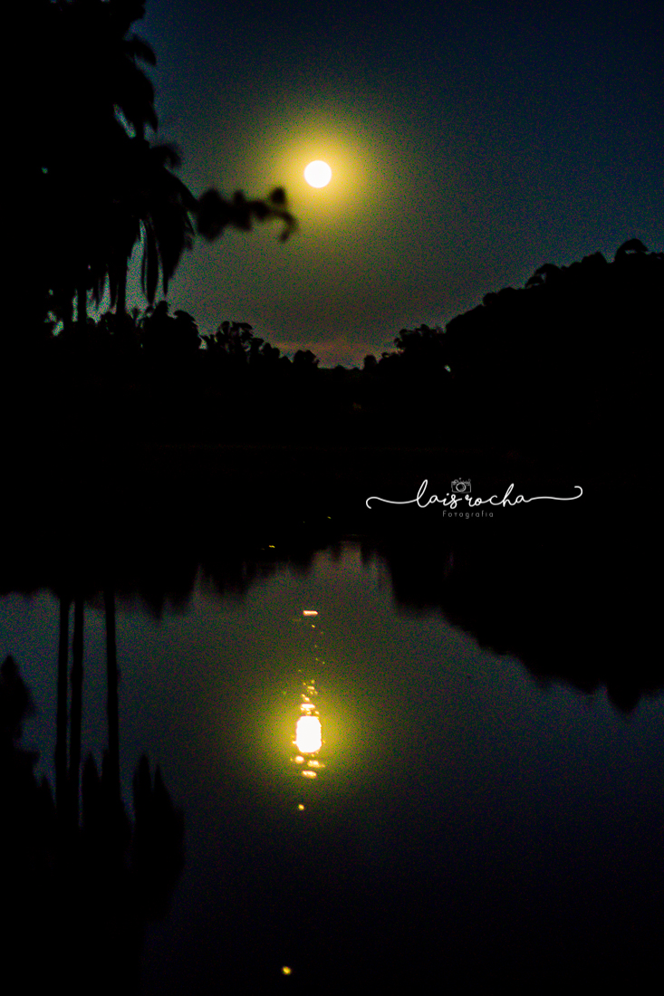 Ensaio feminino - livros - ar livre - teen