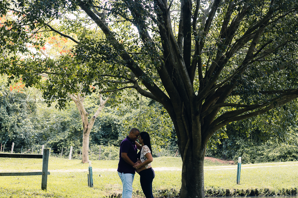 ensaio gestante - macaúbas - mogi mirim - vem olívia - lais rocha fotografia - photo - gravida - casal  - amor