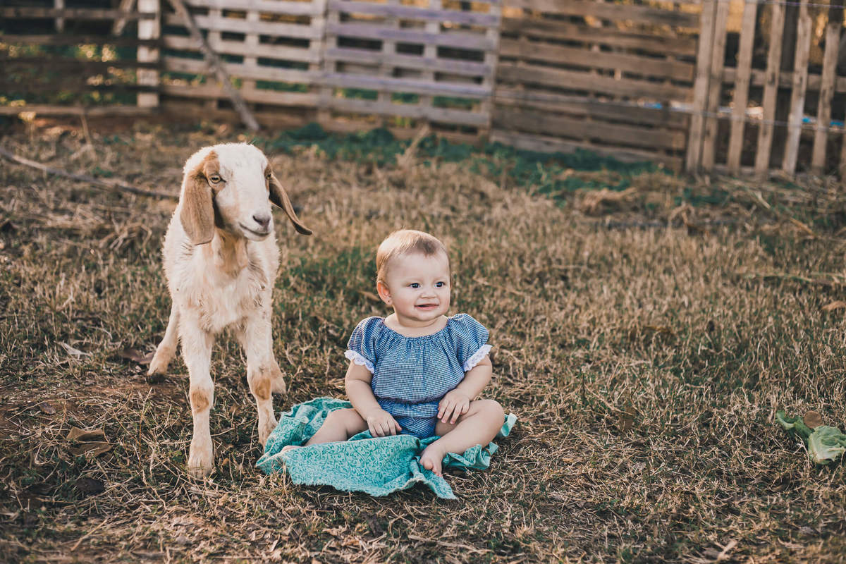 #cabritos #laisrochafotografia, fotografa em conchal, fotografia, fazenda 