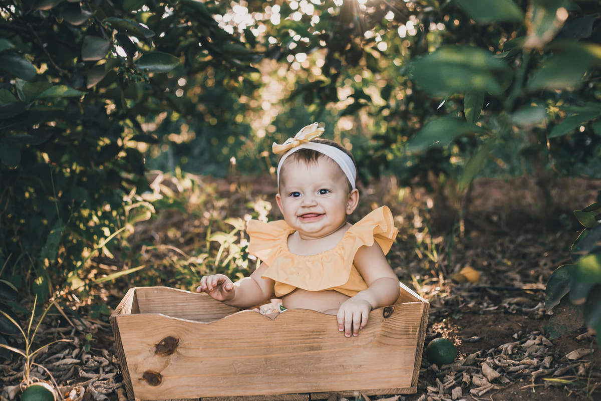 #cabritos #laisrochafotografia, fotografa em conchal, fotografia, fazenda 