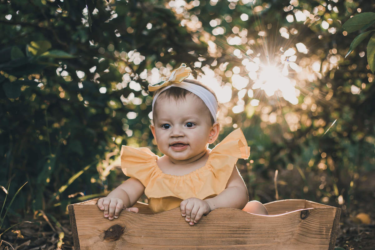 #cabritos #laisrochafotografia, fotografa em conchal, fotografia, fazenda 