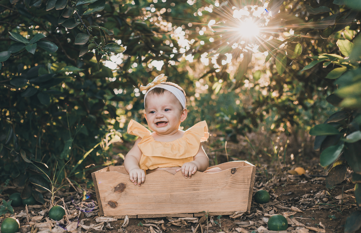 #cabritos #laisrochafotografia, fotografa em conchal, fotografia, fazenda 