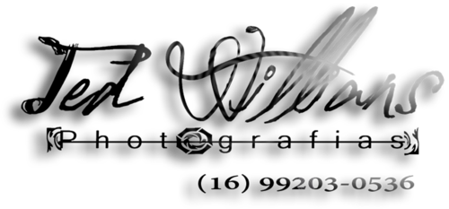 Logotipo de Ted Willians