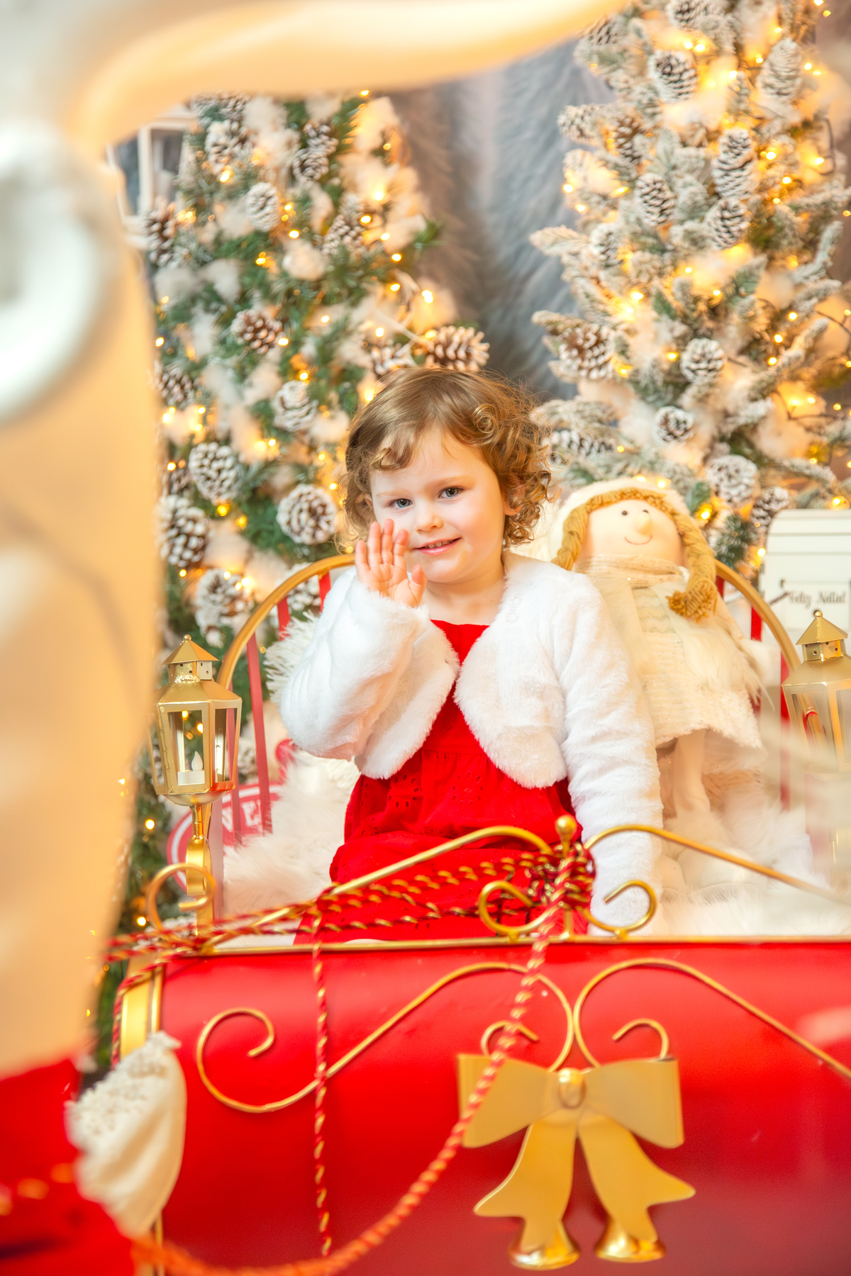 Sonho de Natal da Raquel - Dálie Felberg Fotografia