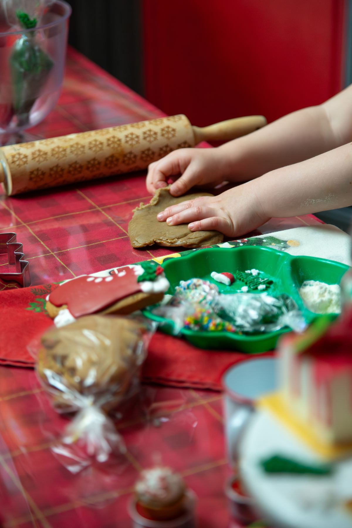 Sonho de Natal da Raquel - Dálie Felberg Fotografia