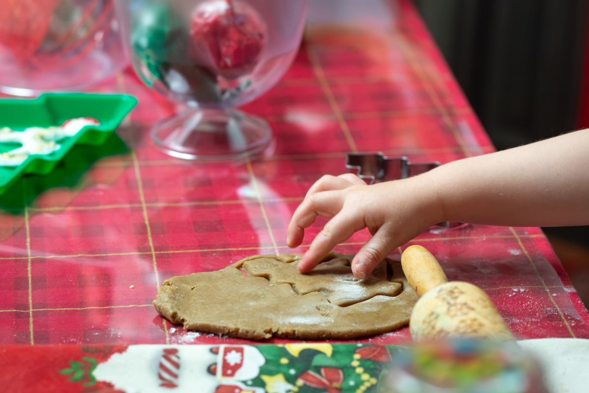 Sonho de Natal da Raquel - Dálie Felberg Fotografia
