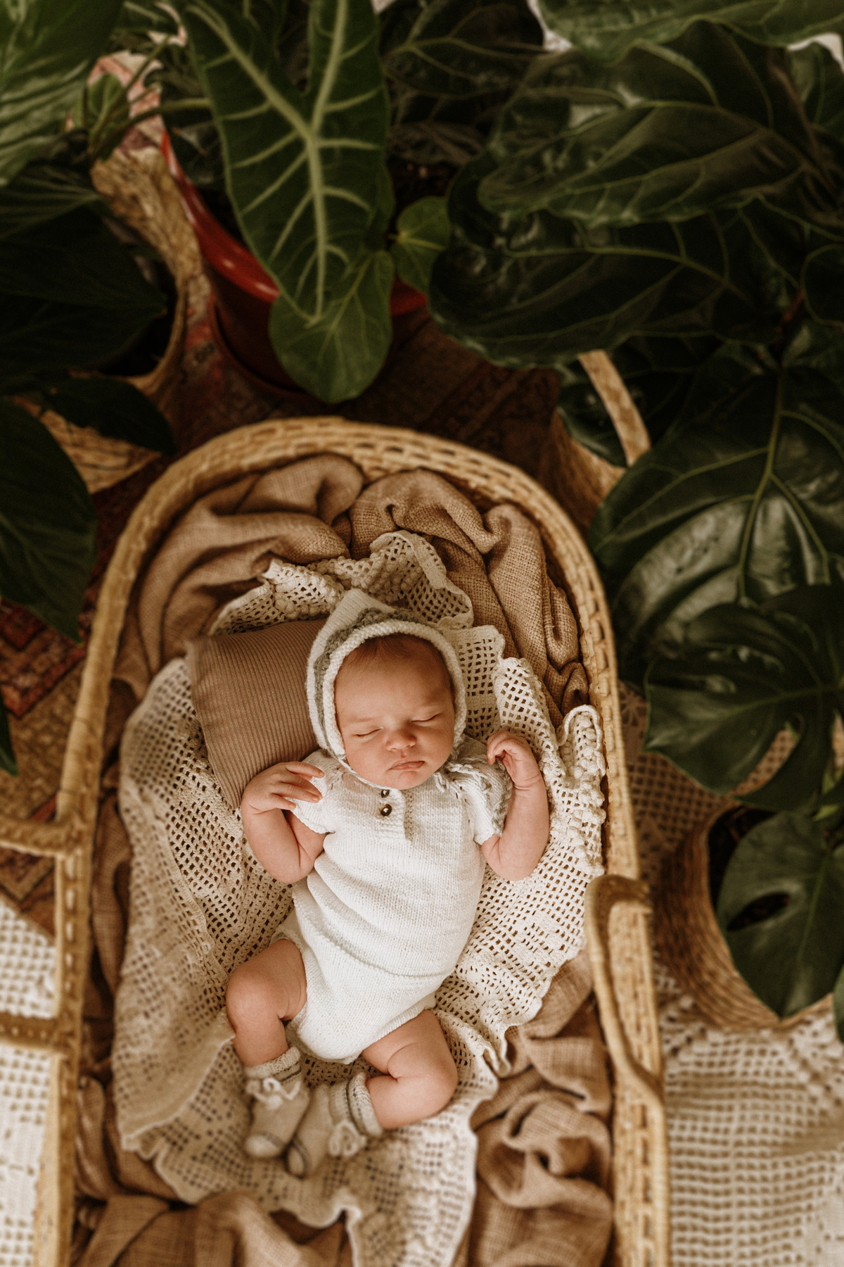 ensaio recem nascido