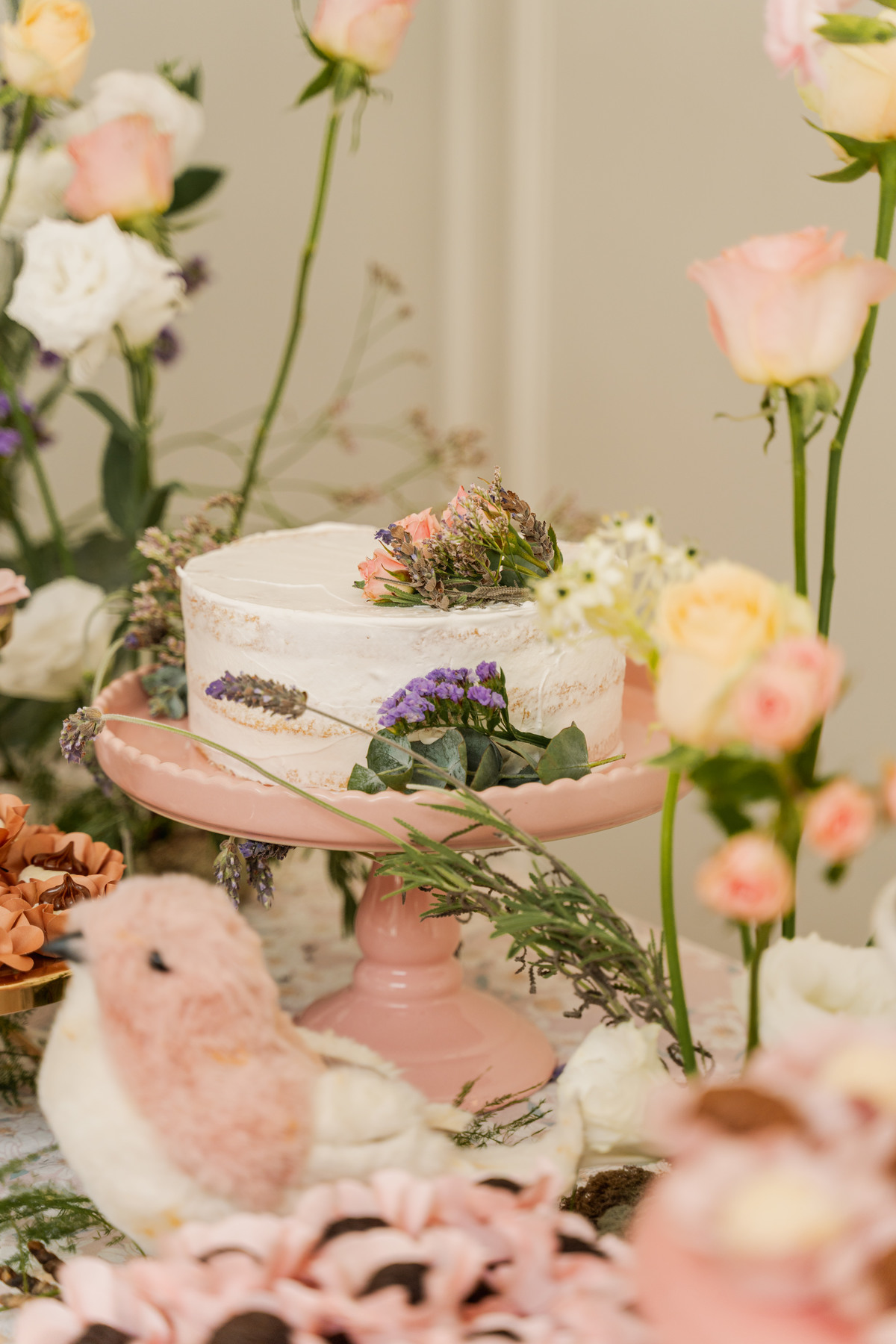 Fotografia de Festa Infantil em Santos
