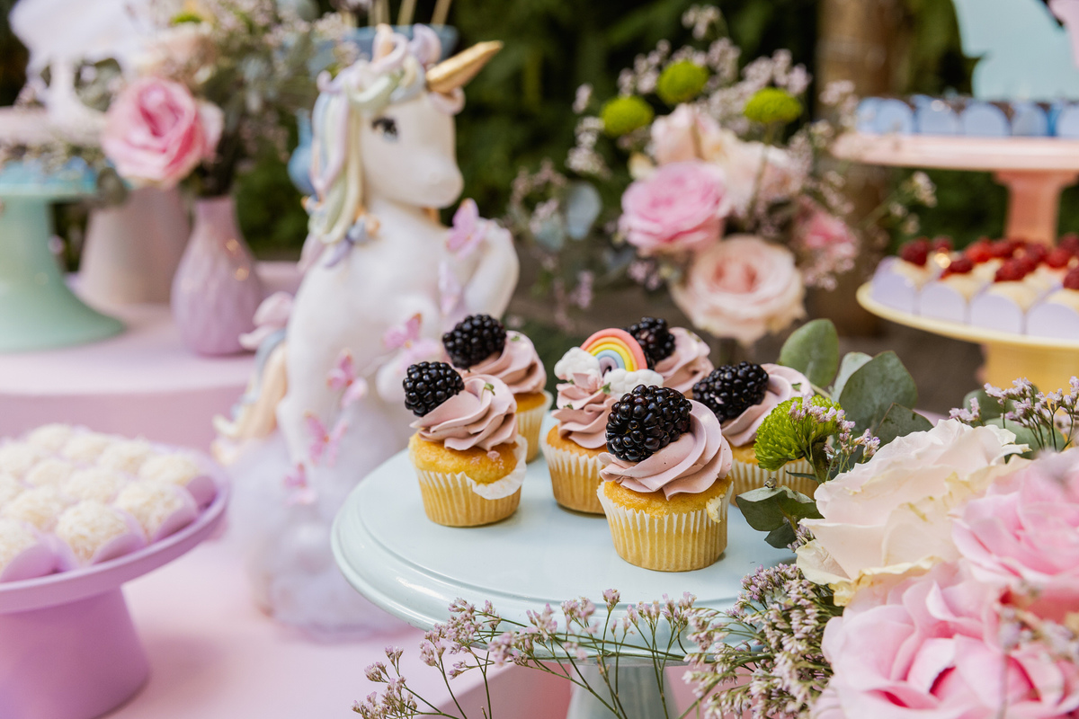 Fotógrafa de festa infantil Santos