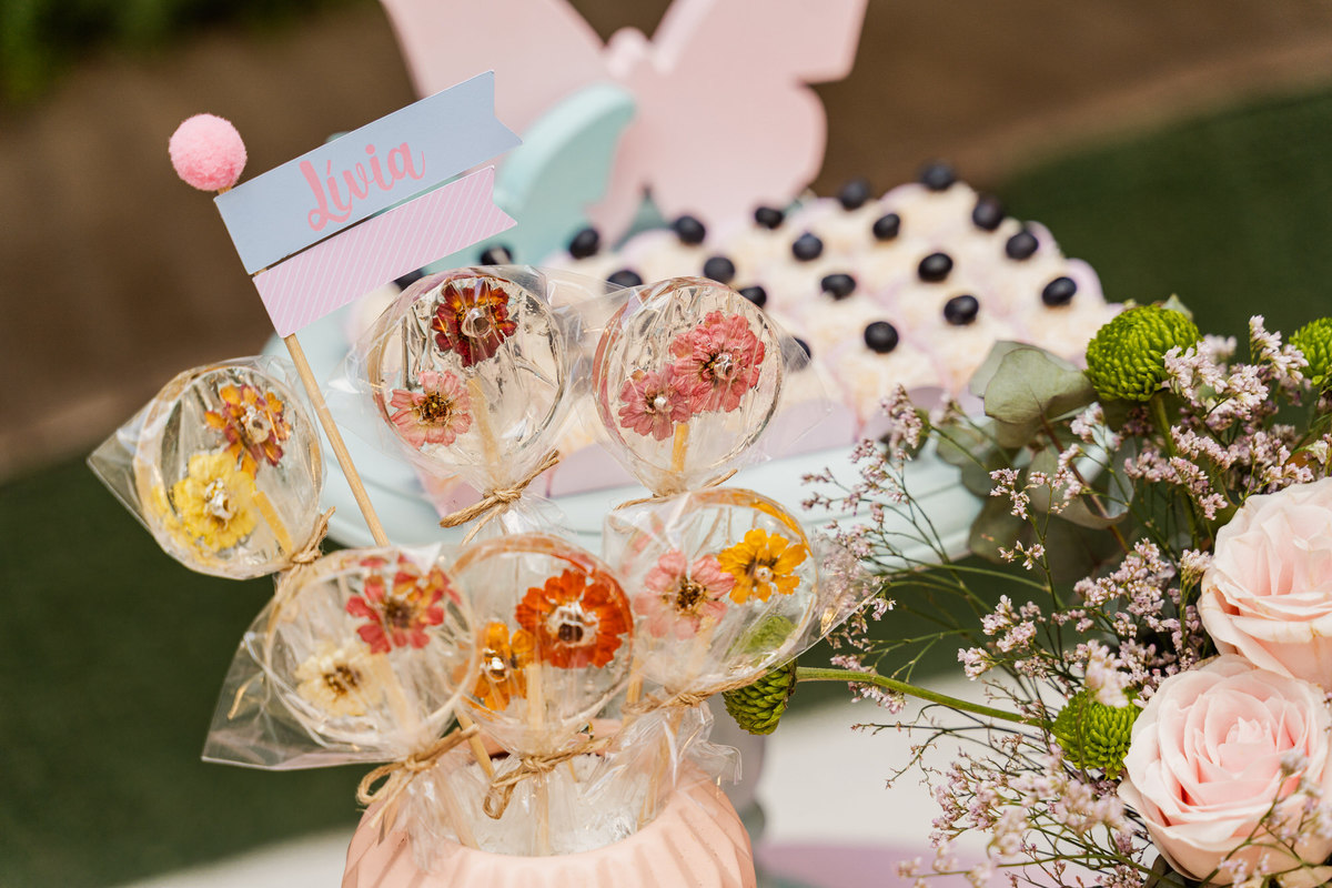 Fotógrafa de festa infantil Santos