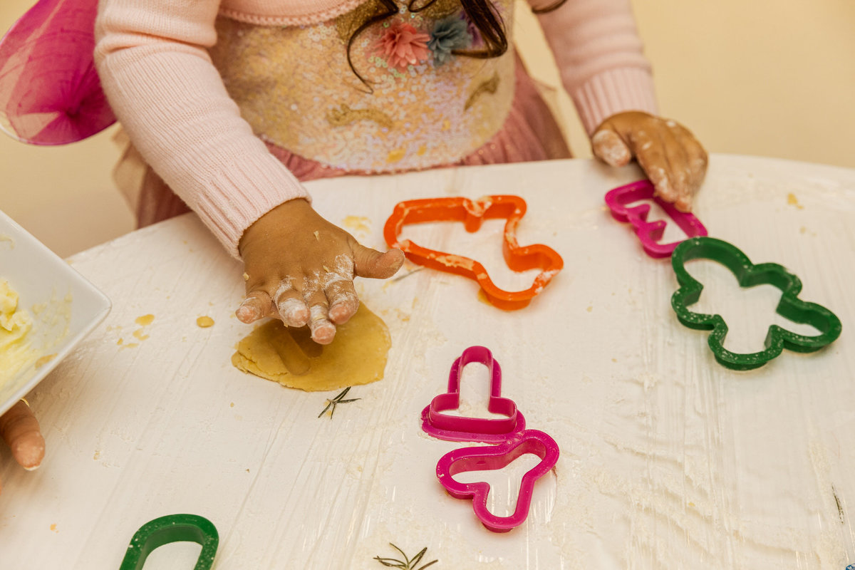 Fotógrafa de festa infantil Santos