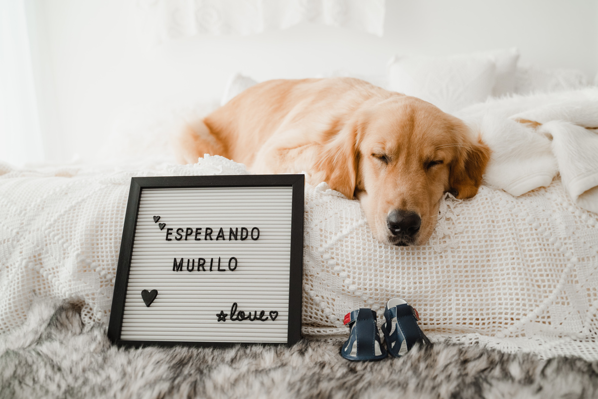 Ensaio gestante em estúdio lifestyle