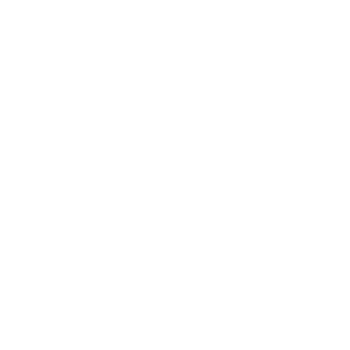 Logotipo de BRUNA TOSTA