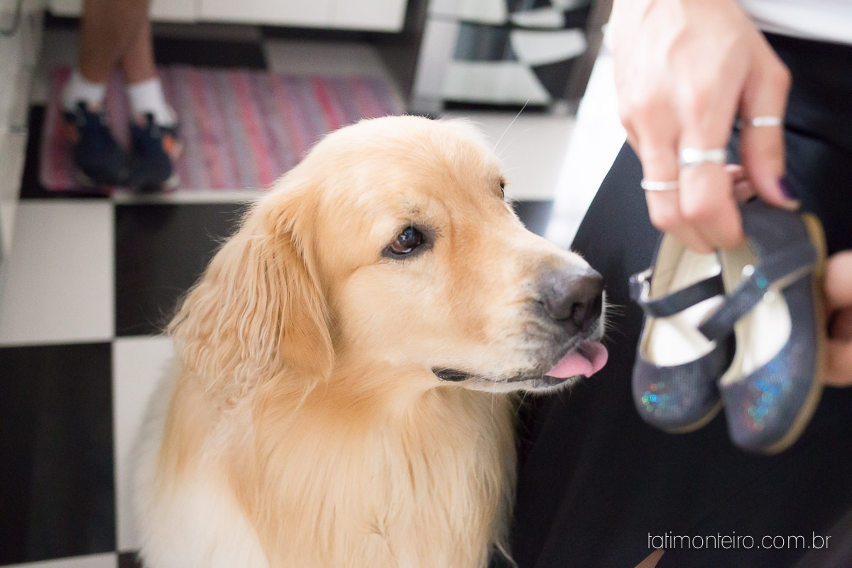 book de grávida, book gestante, book gestante com cachorro, book gestante externo, book gestante parque sp, book gestante sao Paulo, book gestante sp, book gravida, book gravida com cachorro, book gravida externo, book gravida parque sp, book gravi