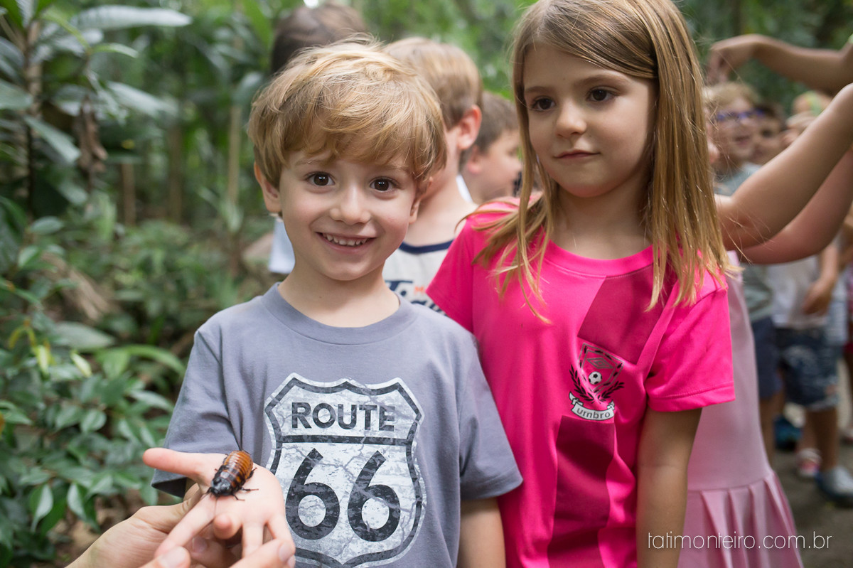 aniversario tema carros,pic nic aniversario tema carros,aniversario parque burle marx,festa de aniversario parque burle marx,fotografa de aniversario infantil sp,fotografa de festa infantil sp