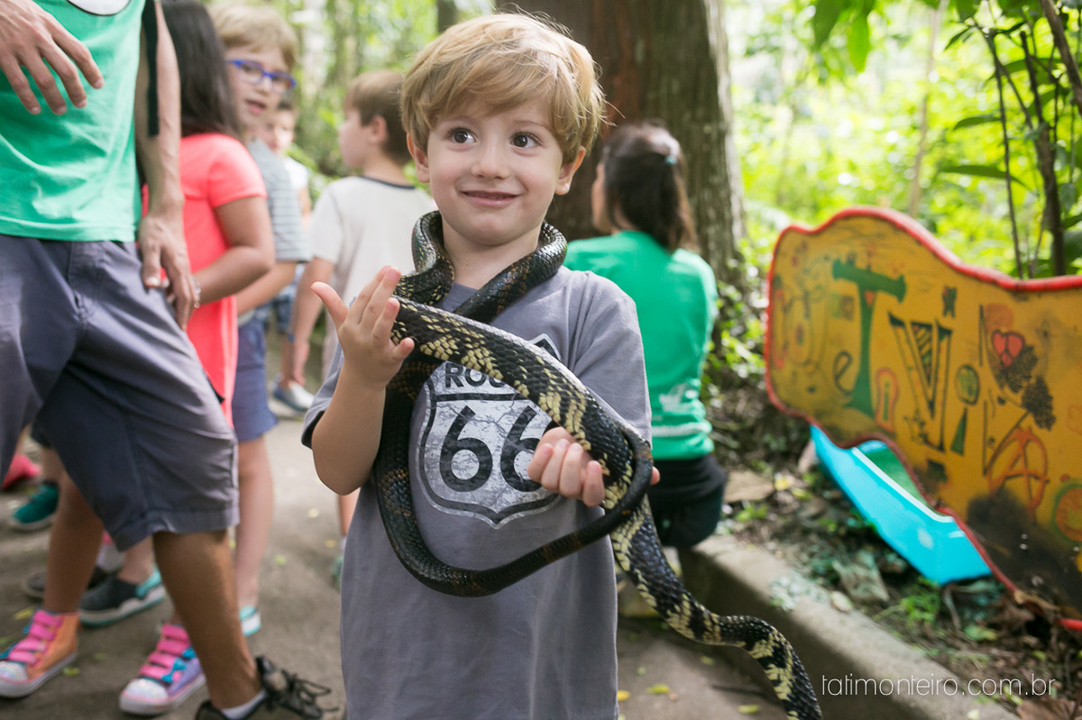 aniversario tema carros,pic nic aniversario tema carros,aniversario parque burle marx,festa de aniversario parque burle marx,fotografa de aniversario infantil sp,fotografa de festa infantil sp