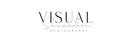 Logotipo de Visual Schumacher