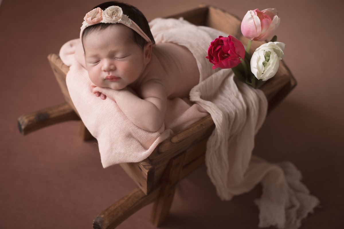 ニューボーンフォト, newbornbaby, マタニティフォト, newbornphoto, マタニティフォト静岡, newbornphotography, maedeprimeiraviagem,
fineartphotohraphy,
 fineart, 浜松 #マタニティーフォト, 浜松 p, regnant, ニューボーンフォト浜松, recem, nascido, no, japao, japan, gestacao, gestação, newborn, photo, photography