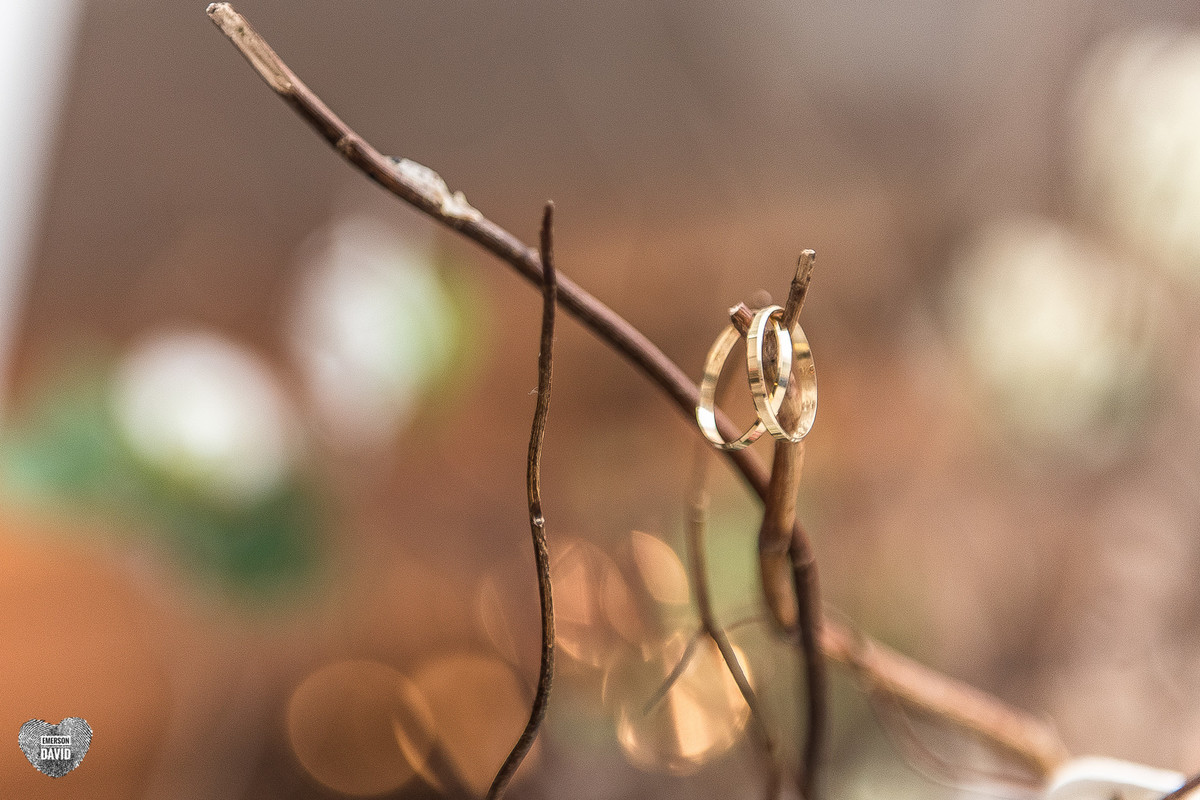 alianças-casamento-cerimônia