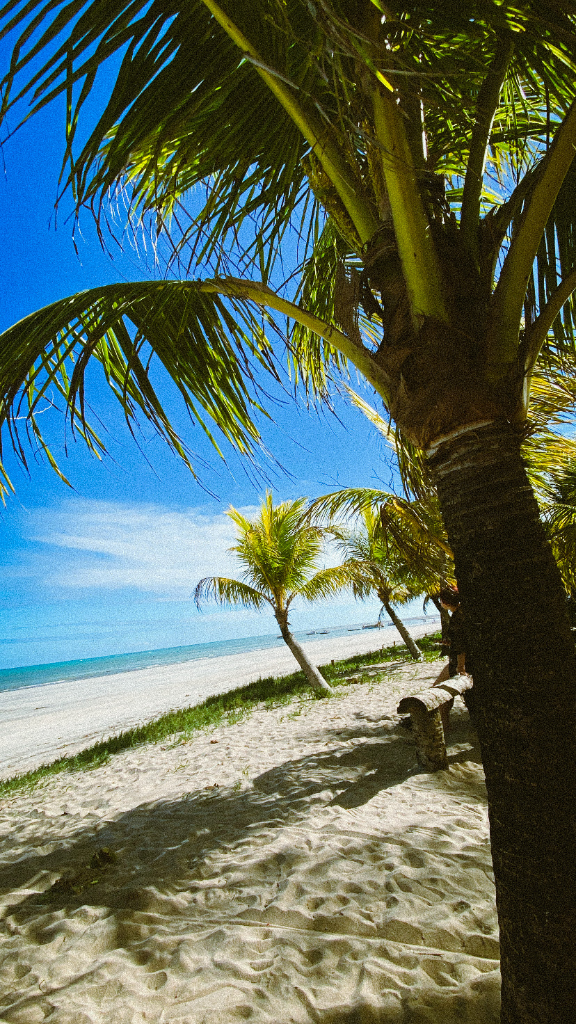 Maragogi